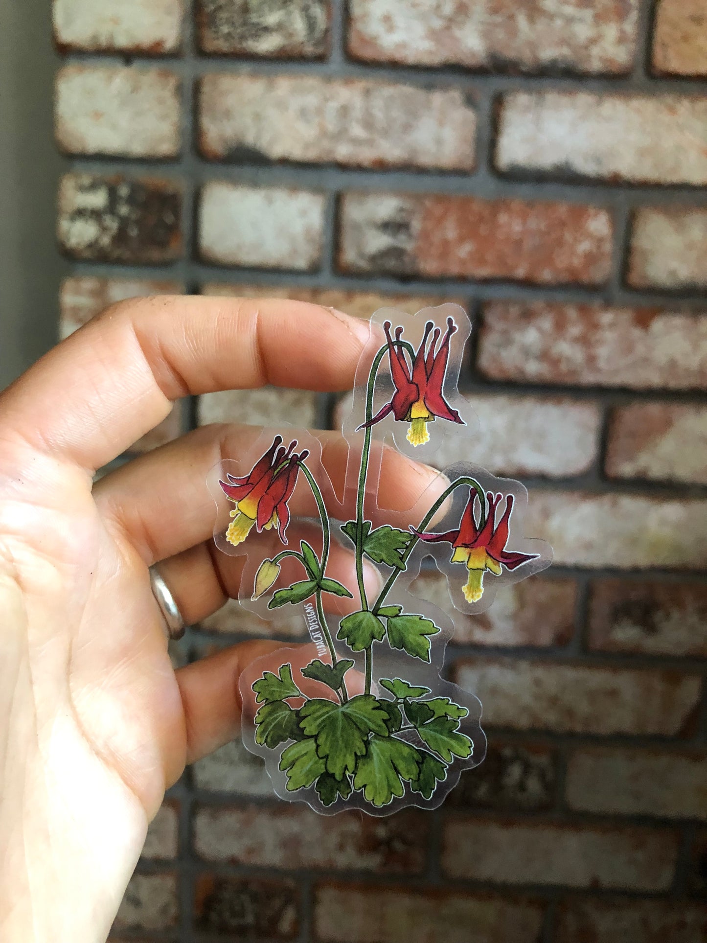 Red Columbine sticker