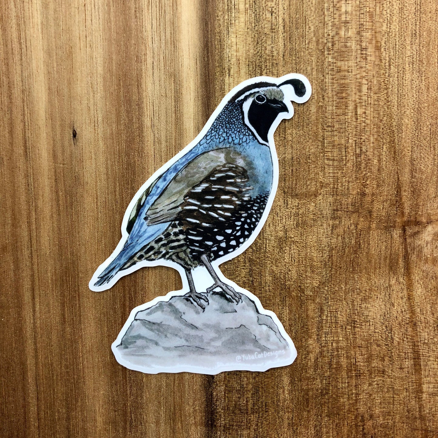 California Quail sticker