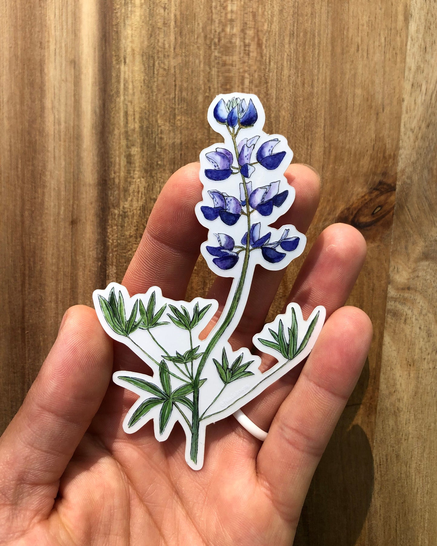 Sky Lupine sticker