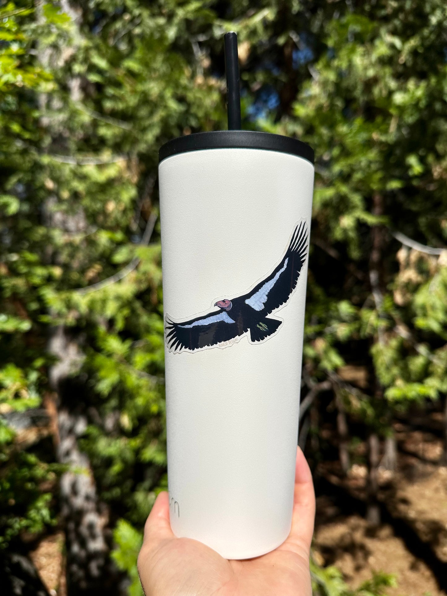 California Condor Sticker