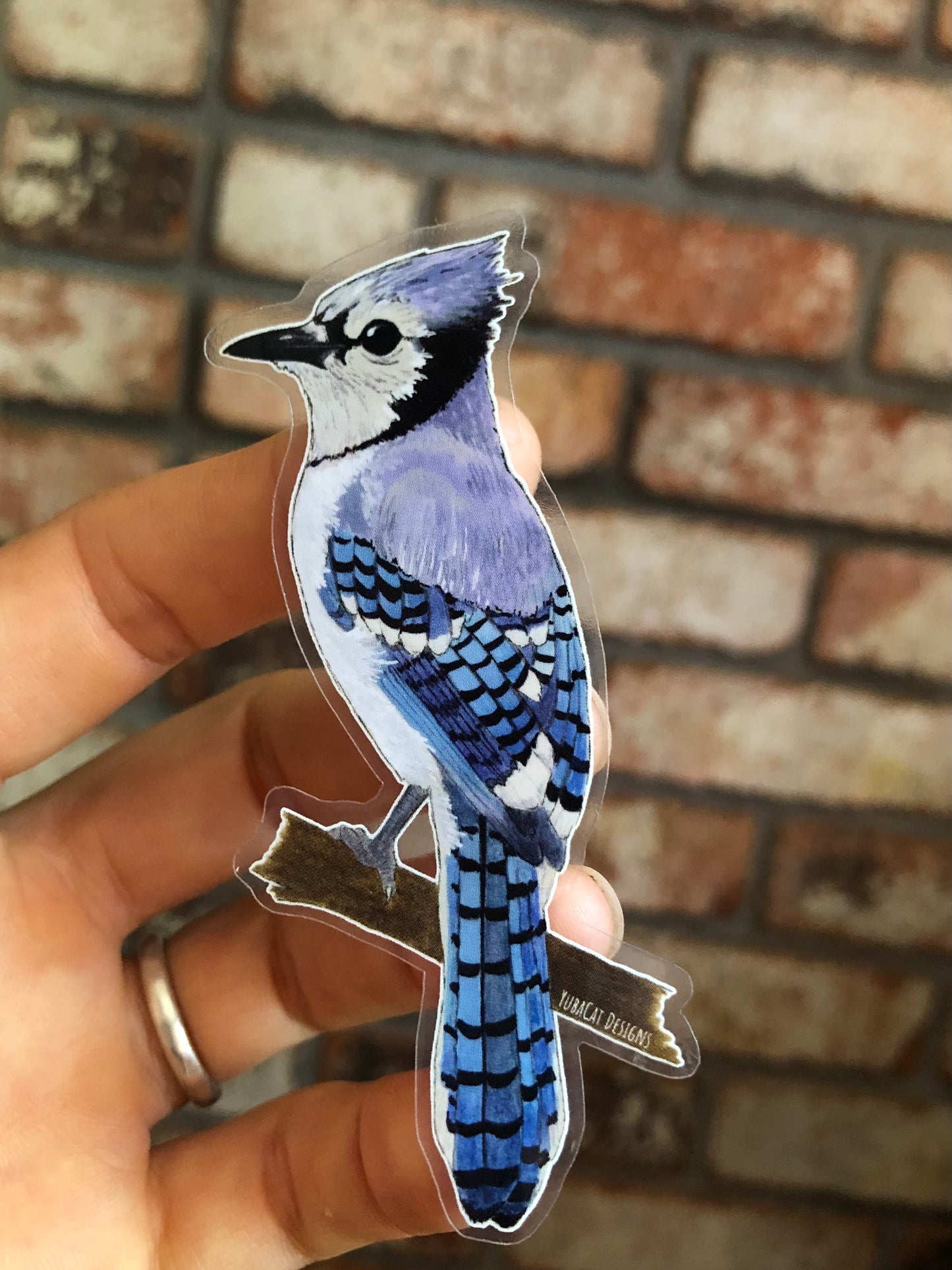 Blue Jay Sticker