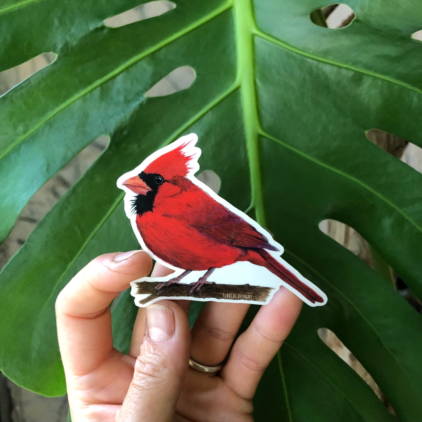 Northern Cardinal sticker