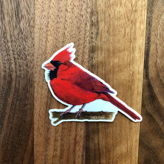 Northern Cardinal sticker