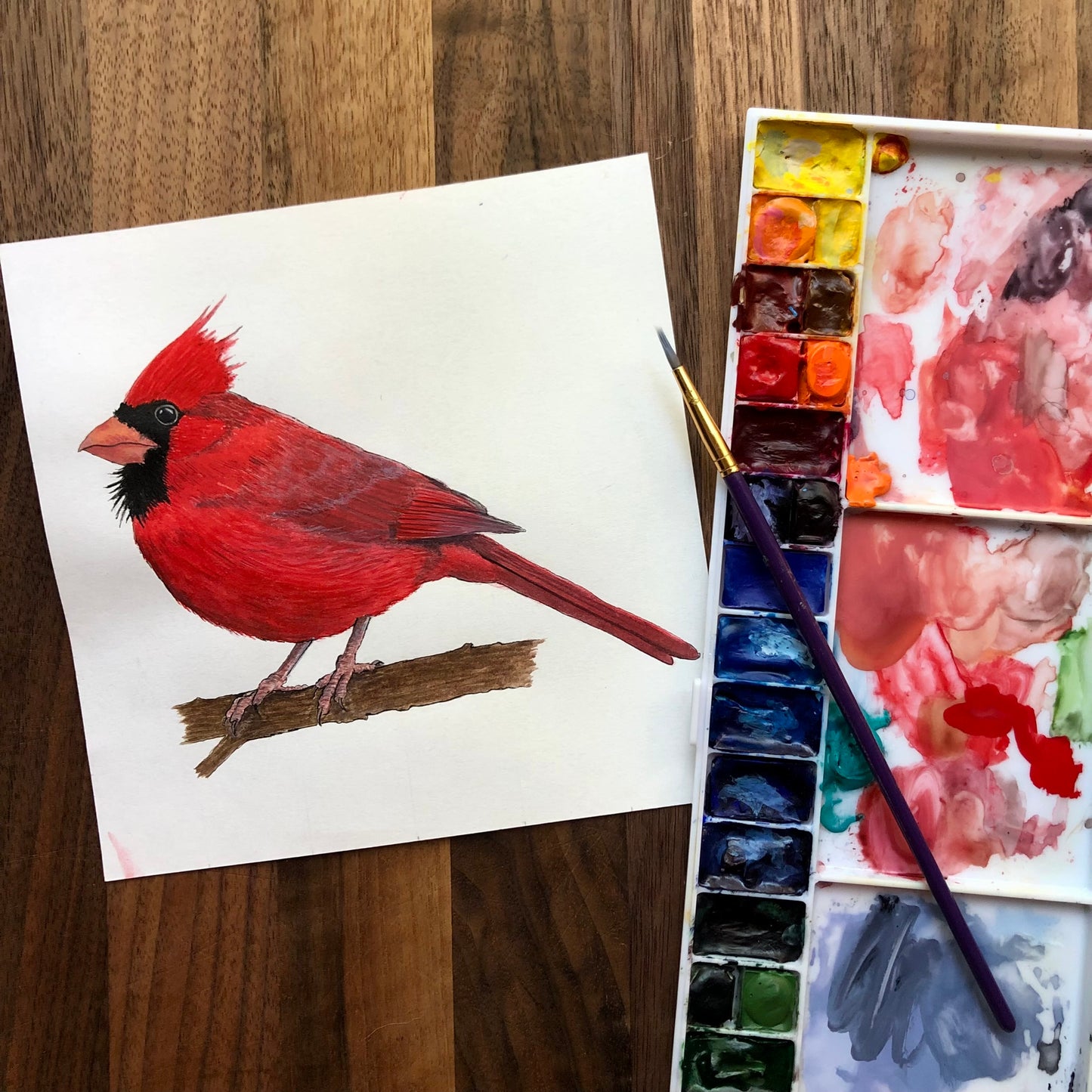 Northern Cardinal sticker