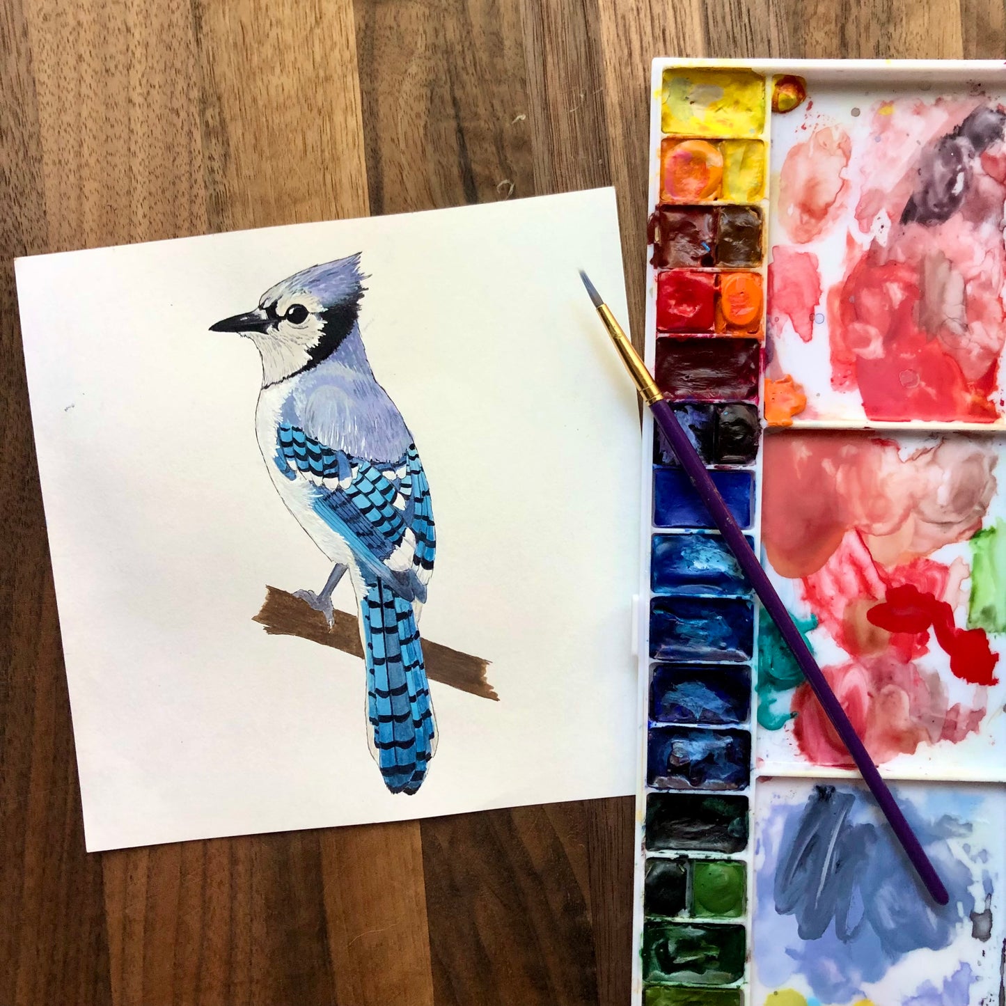 Blue Jay Sticker