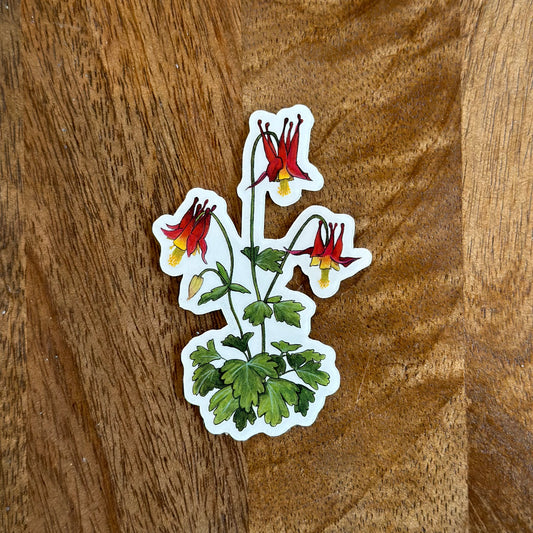 Red Columbine sticker