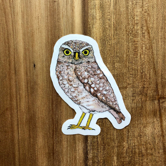 Burrowing owl sticker