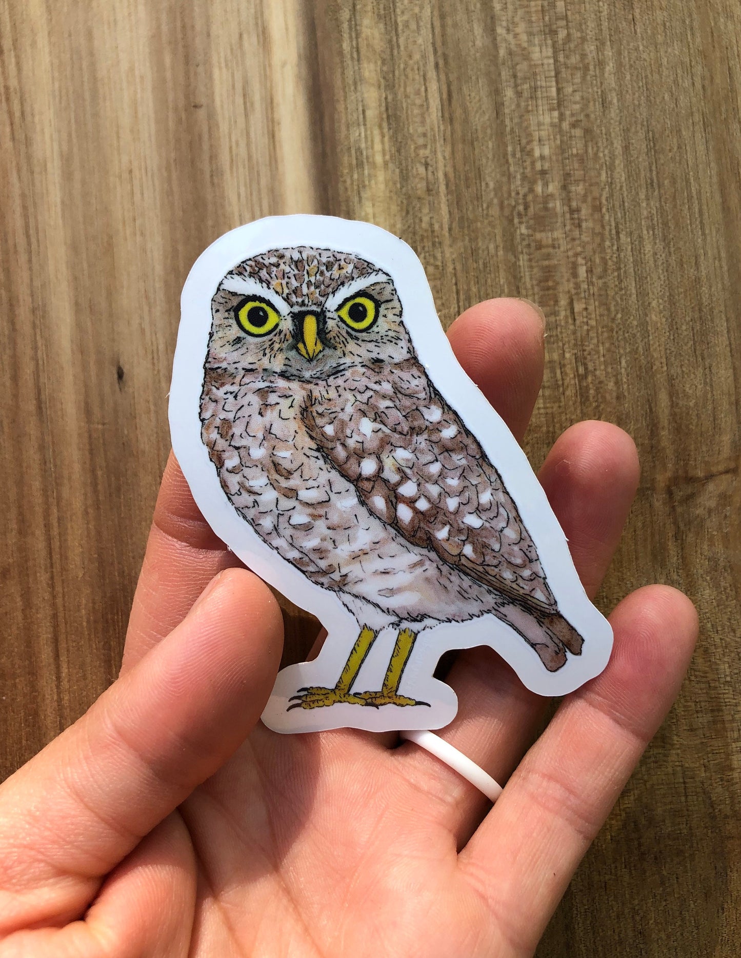 Burrowing owl sticker