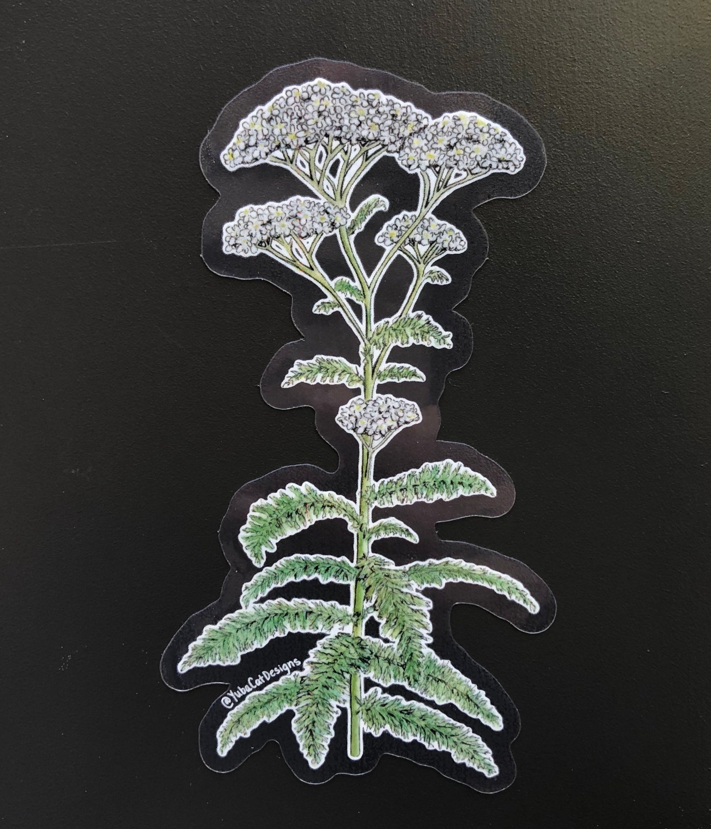 Yarrow sticker