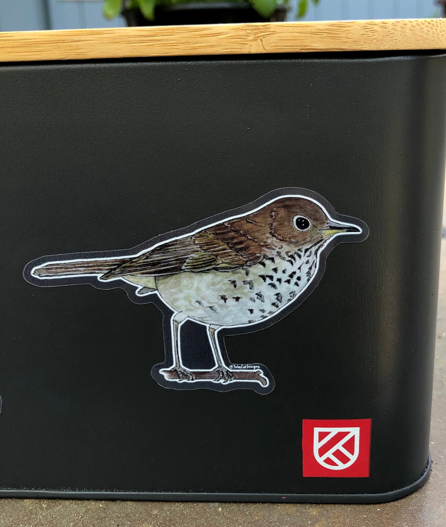 Hermit Thrush sticker