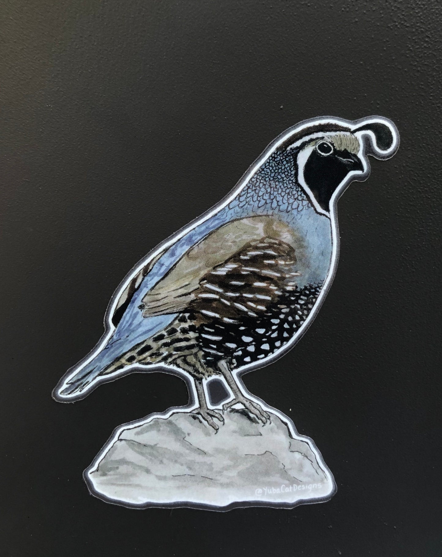 California Quail sticker