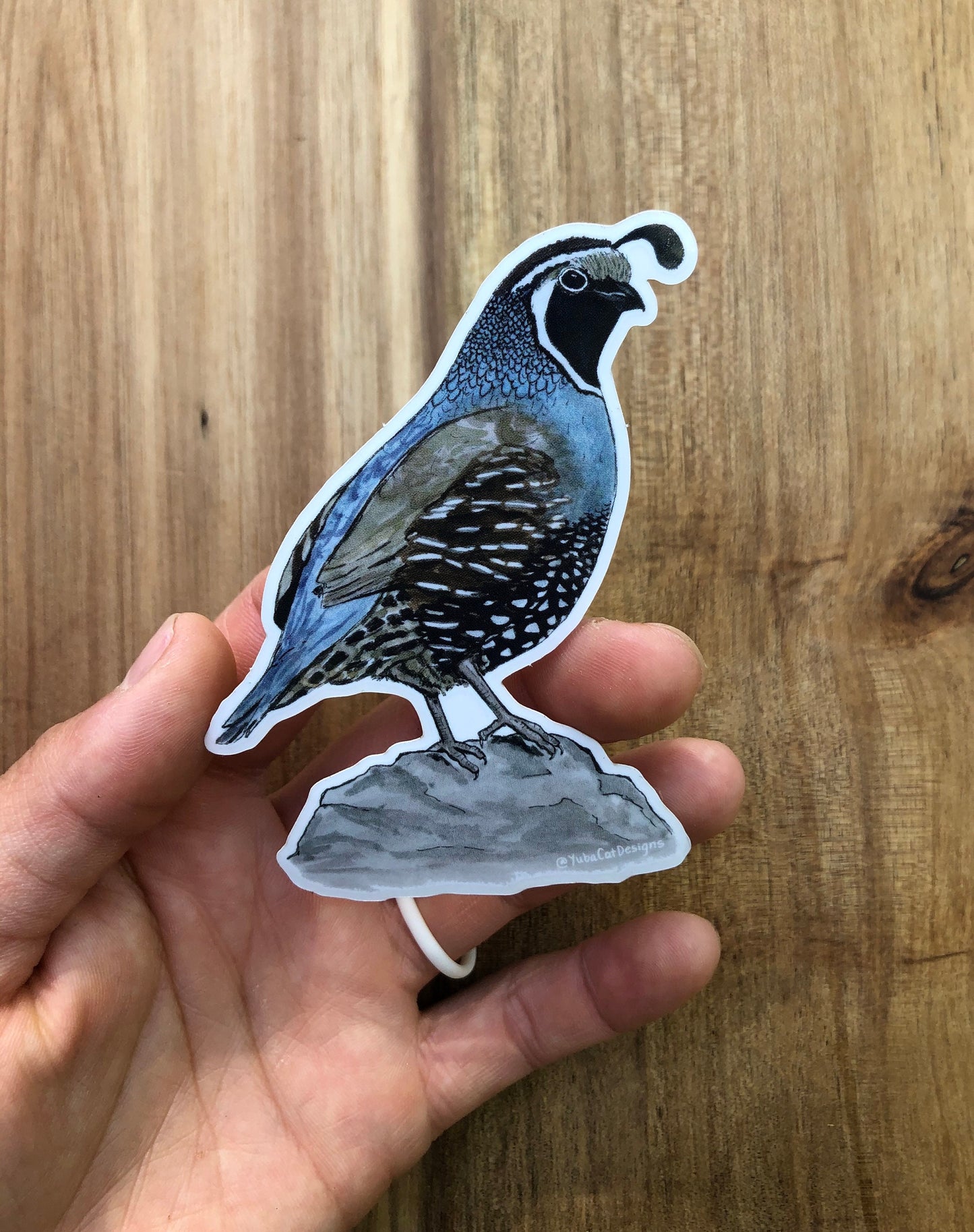 California Quail sticker