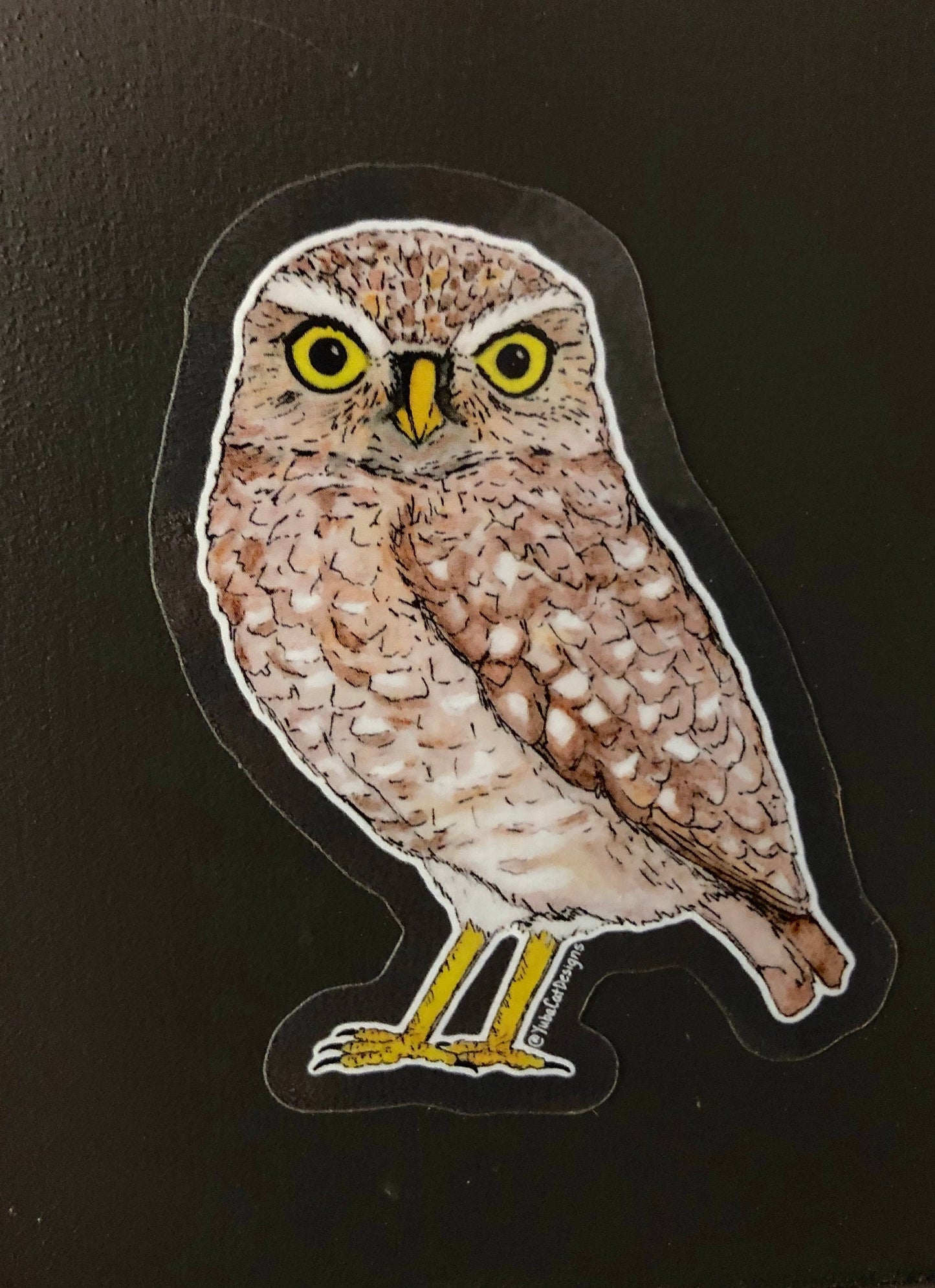 Burrowing owl sticker