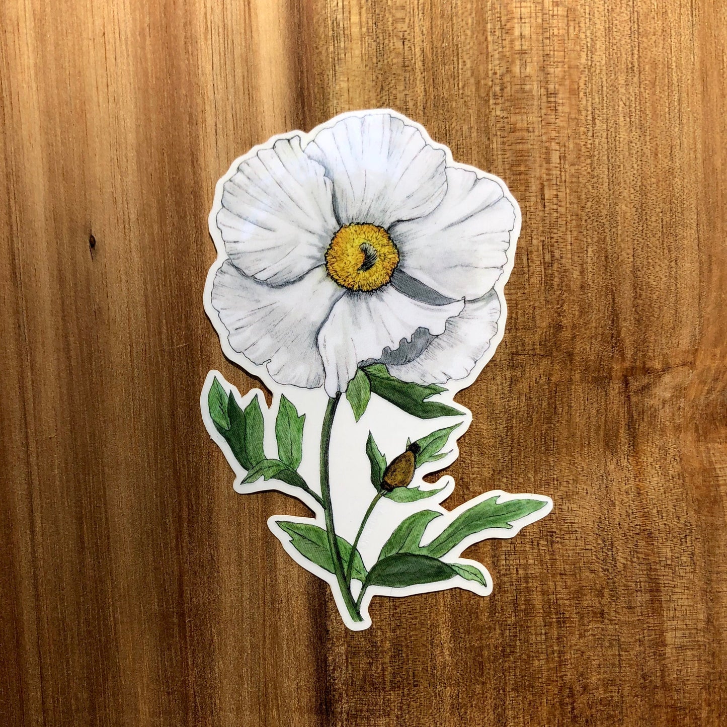 Matilija Poppy sticker