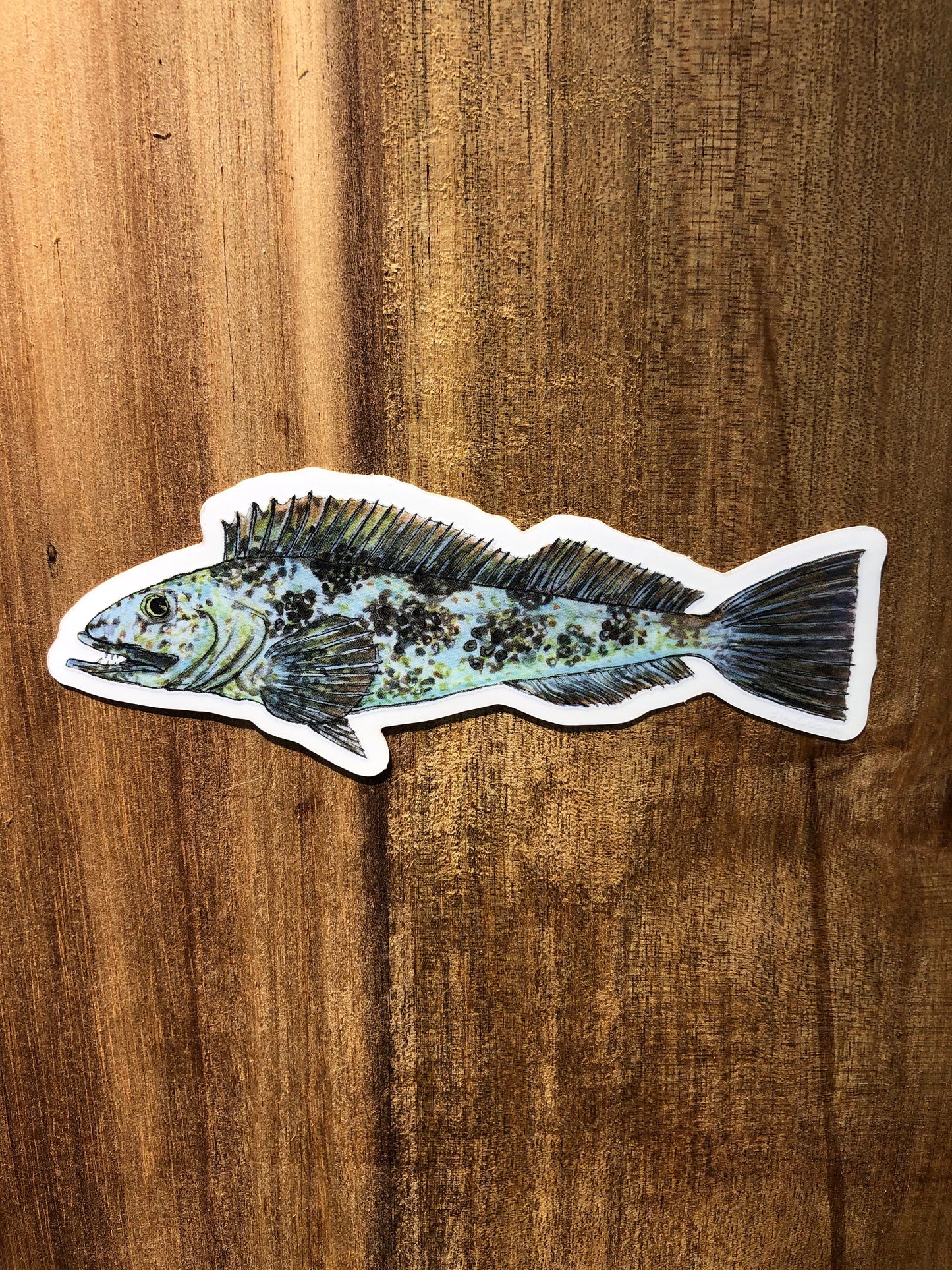 Lingcod sticker