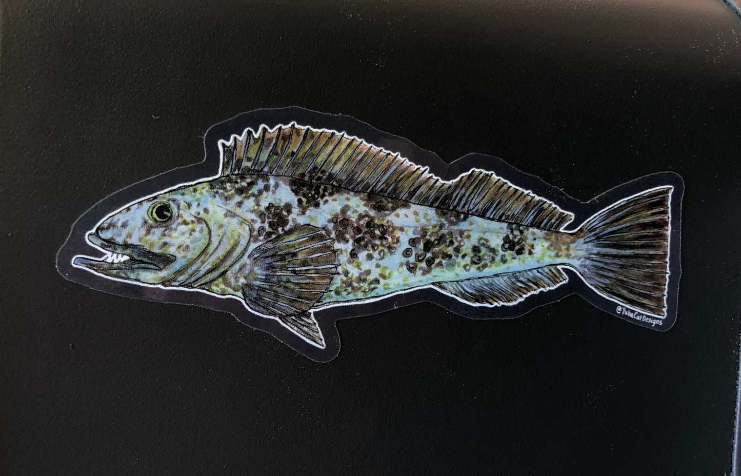 Lingcod sticker