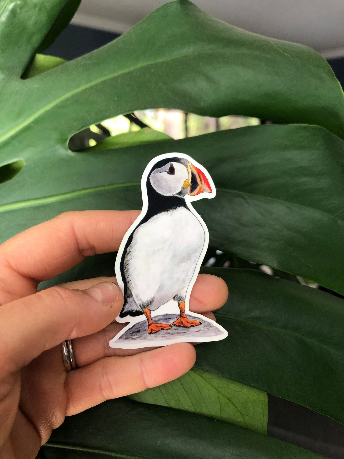 Atlantic Puffin sticker