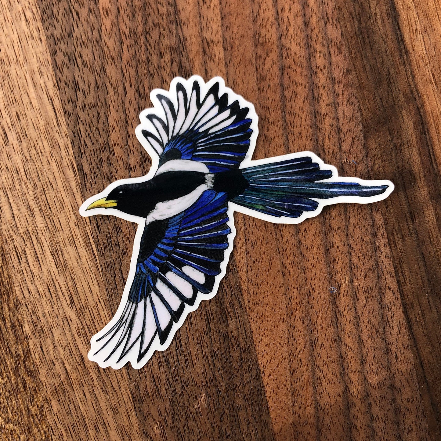 Yellow-billed magpie sticker