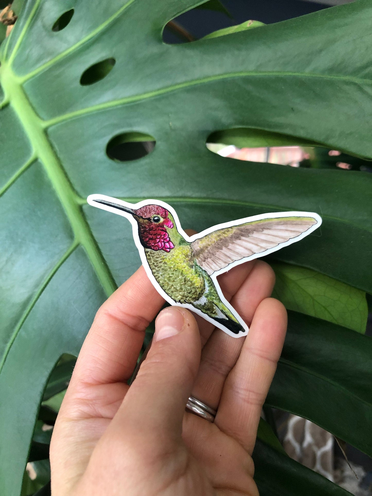 Hummingbird sticker