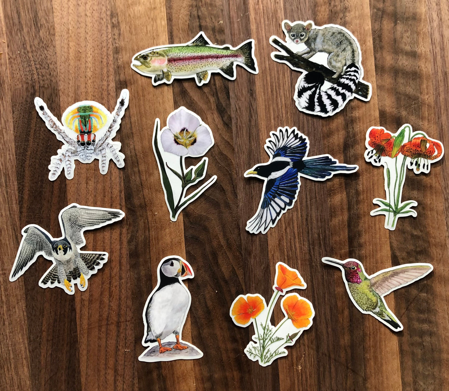 Hummingbird sticker