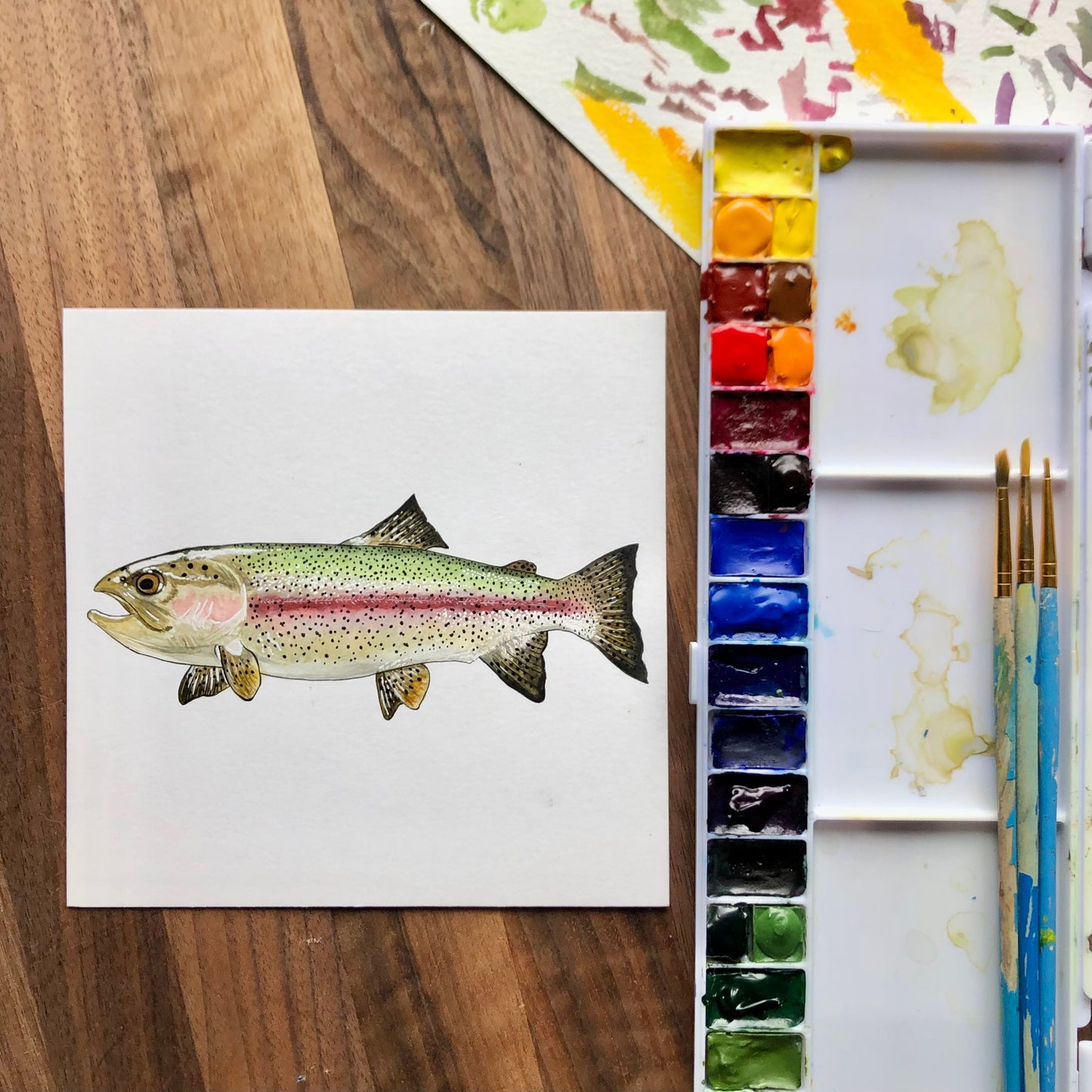 Rainbow Trout sticker