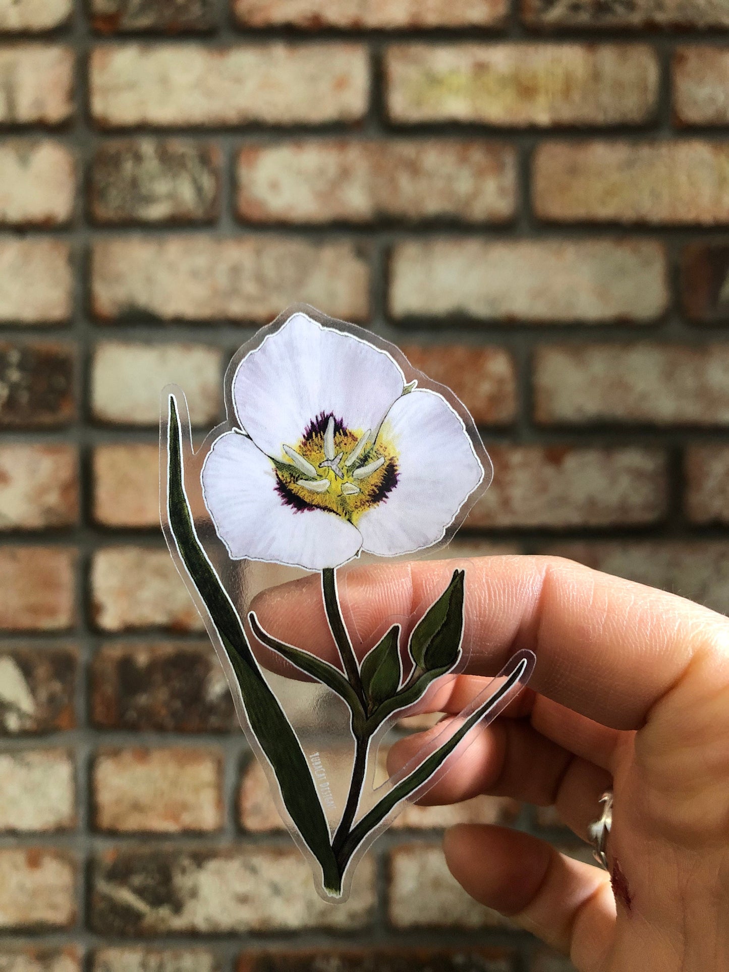 Mariposa Lily sticker