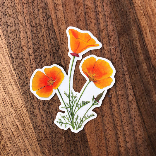 California Poppy sticker