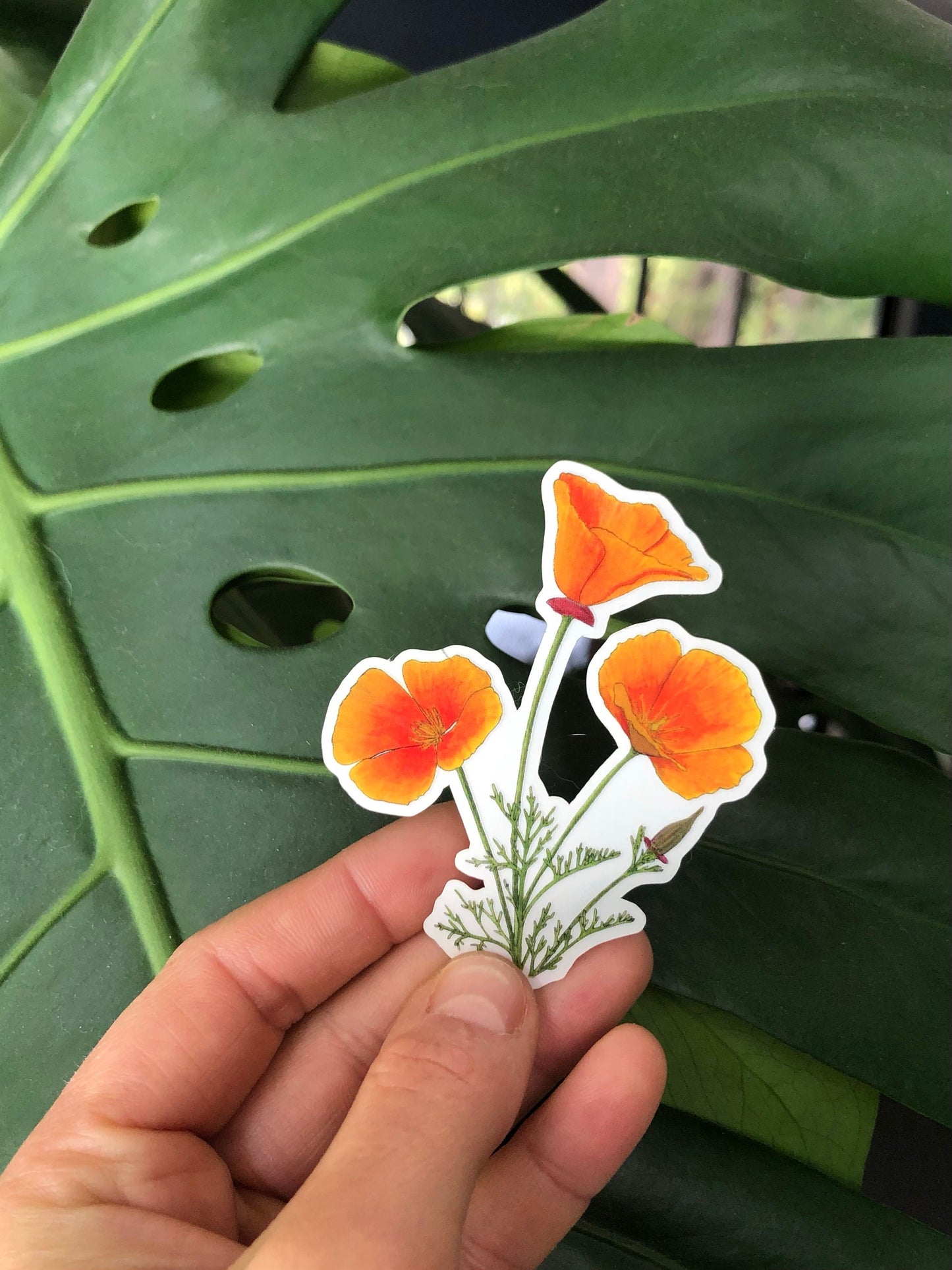 California Poppy sticker