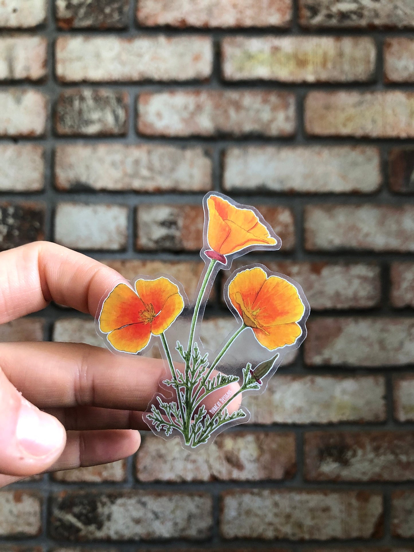 California Poppy sticker