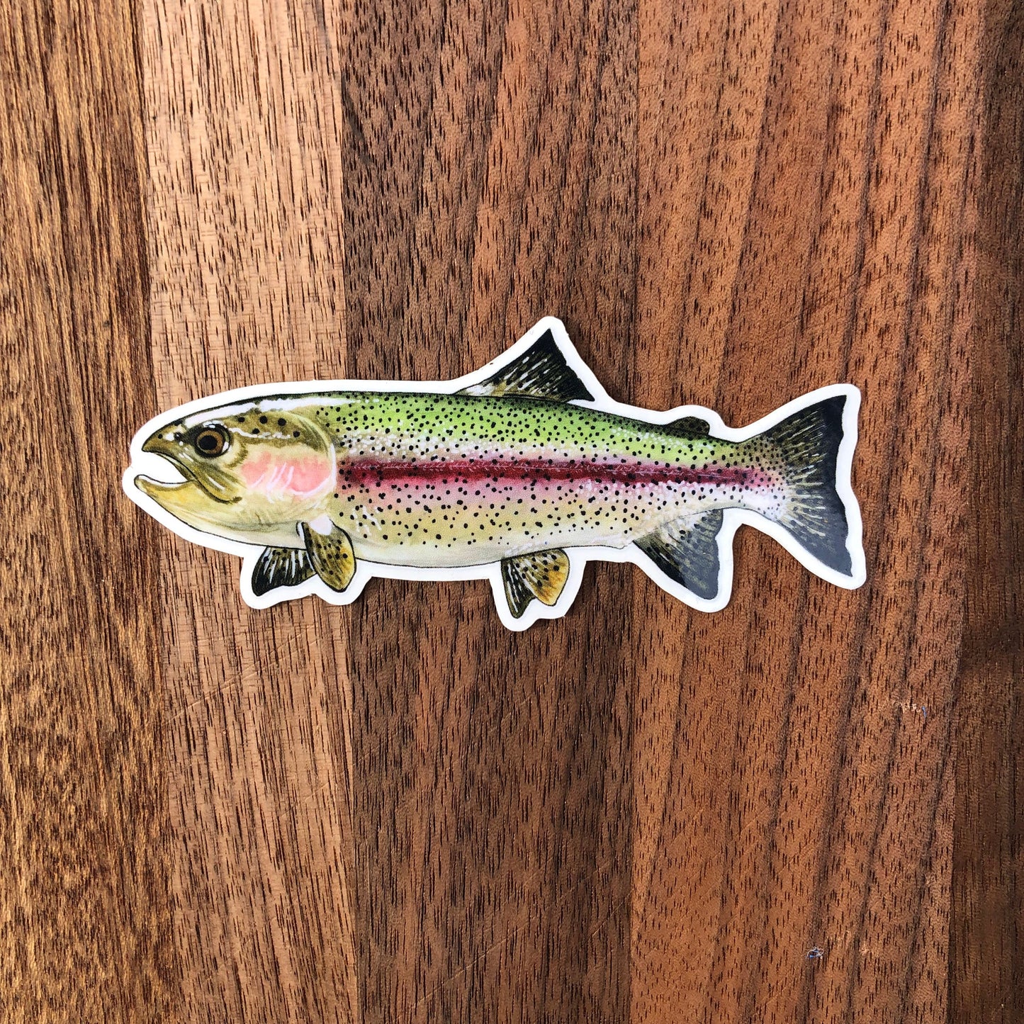 Rainbow Trout sticker