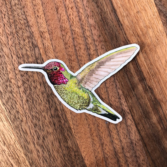 Hummingbird sticker