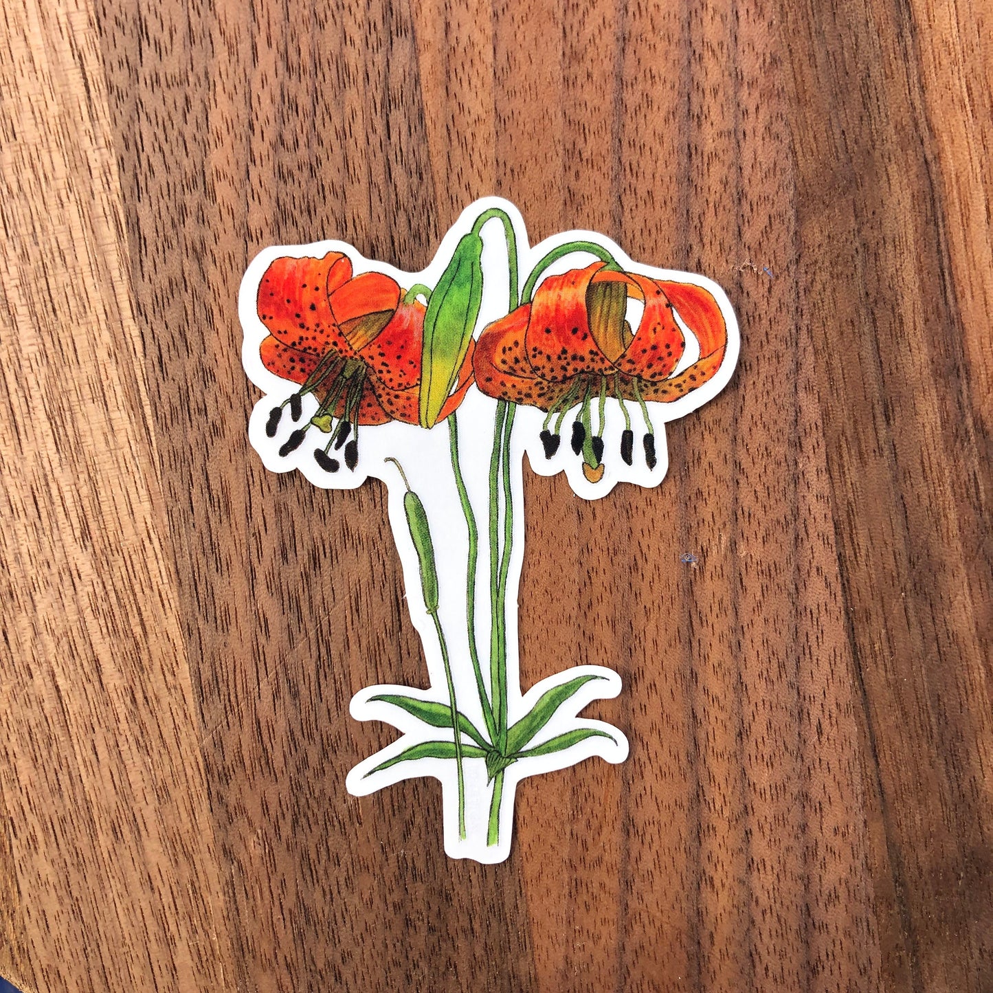 Tiger Lily sticker