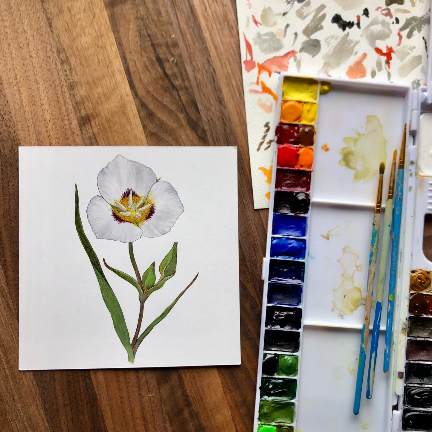 Mariposa Lily sticker